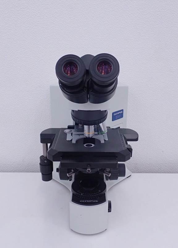 オリンパス BX41TF システム生物顕微鏡 | labiela.com